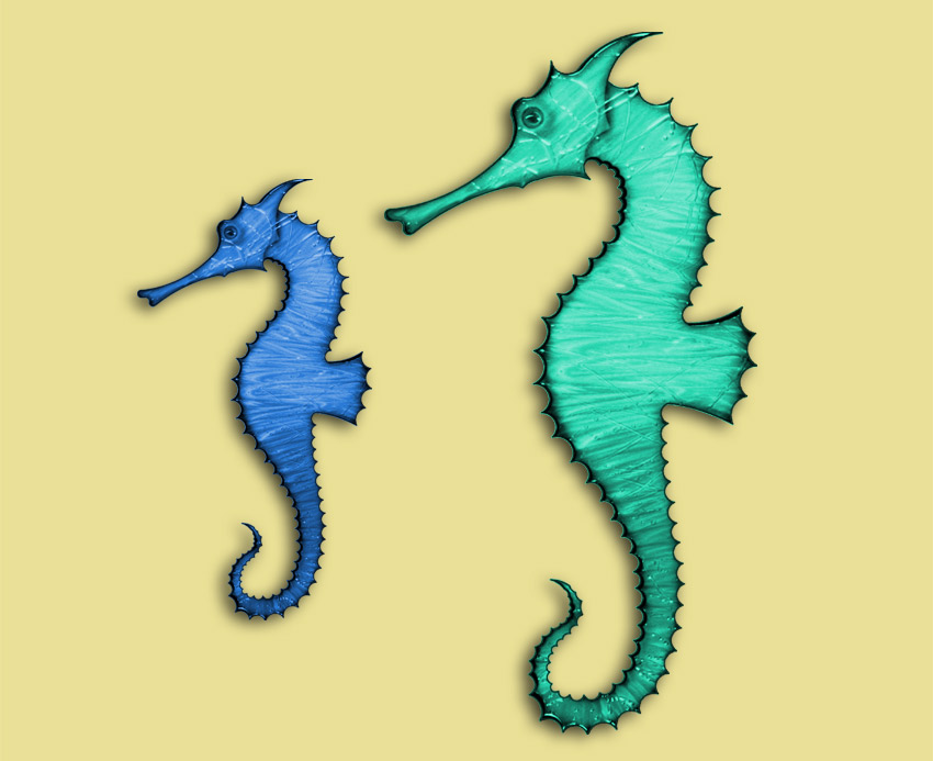 Sea Horse