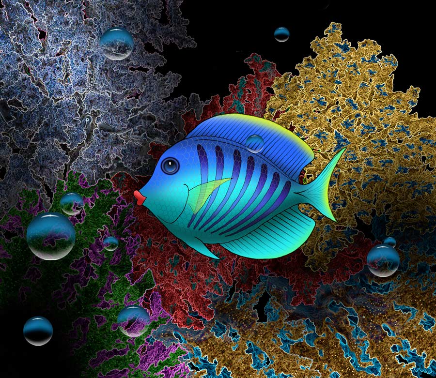 Fish on black