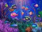 fish 1