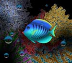 fish 1