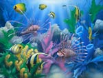 fish 1