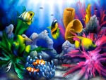 fish 1