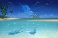Dolphin Cove
