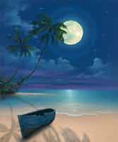 Moon Shadows