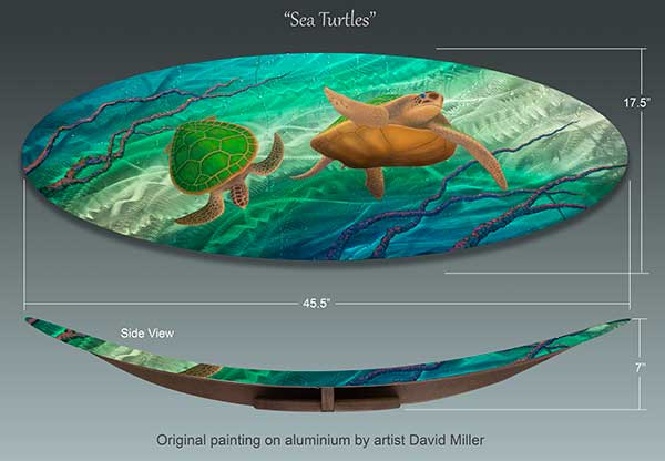 Turtles on Aluminum by David Miller 