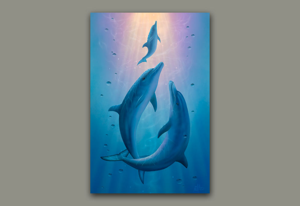 Dolphin Dream